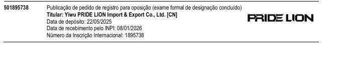 Página da RPI de Processo 501895738