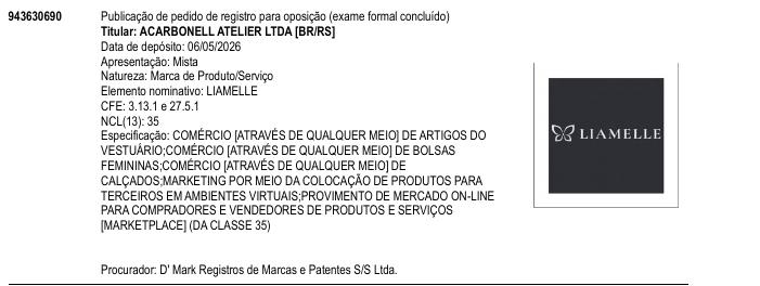 Página da RPI de LIAMELLE