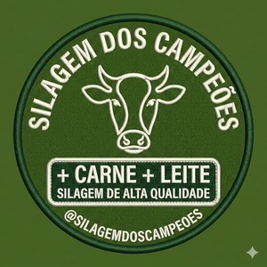 SILAGEM DOS CAMPE�ES +CARNE + LEITE SILAGEM DE ALTA QUALIDADE