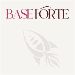 BASE FORTE
