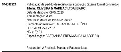 CASTANHAS RONDÔNIA