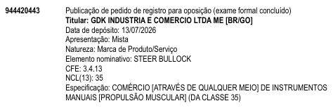 STEER BULLOCK