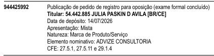 ADVIZE CONSULTORIA
