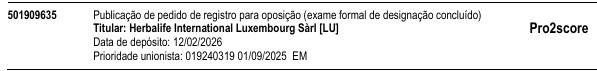 Processo 501909635