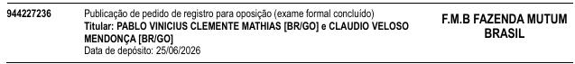 Processo 944227236