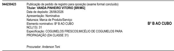 B³ B AO CUBO