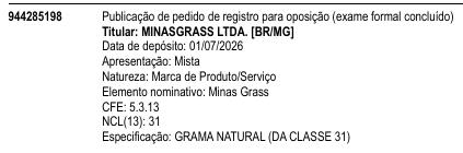 Minas Grass