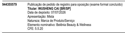 Belênia Beauty & Wellness