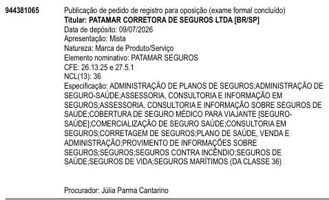 PATAMAR SEGUROS