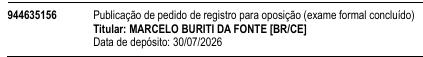 Processo 944635156
