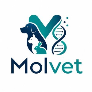 Molvet
