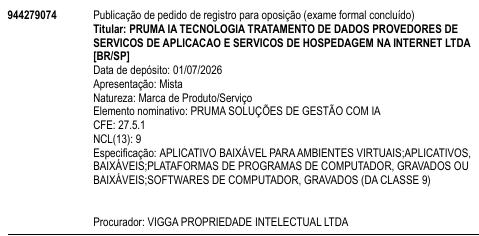 PRUMA SOLUÇÕES DE GESTÃO COM IA
