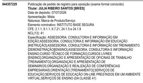 INSTITUTO BASE SEGURA