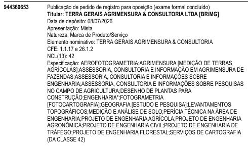 TERRA GERAIS AGRIMENSURA & CONSULTORIA