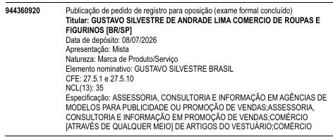 GUSTAVO SILVESTRE BRASIL