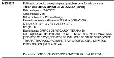 Giroscópio TERAPIA OCUPACIONAL