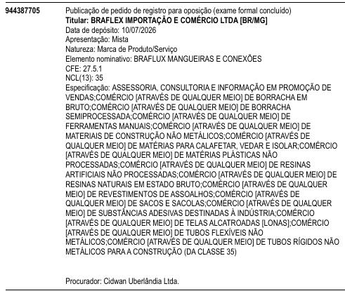 BRAFLUX MANGUEIRAS E CONEXÕES