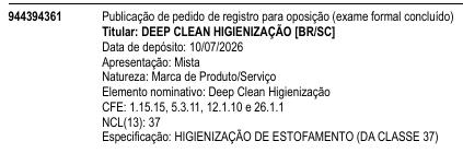 Deep Clean Higienização