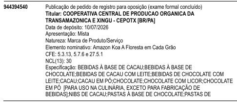 Amazon Koa A Floresta em Cada Grão