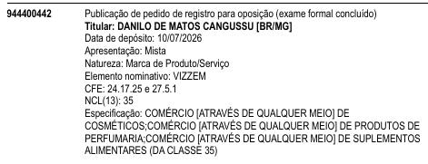 VIZZEM