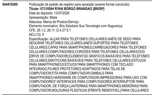 Brix Solutions Sua Tecnologia com Segurança