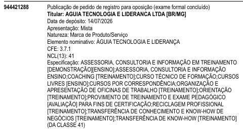 ÁGUIA TECNOLOGIA E LIDERANÇA
