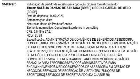 Consuleza Excellence in consulting