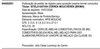 APIS MOUCHE