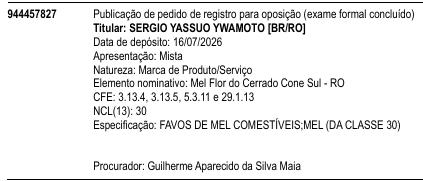 Mel Flor do Cerrado Cone Sul - RO