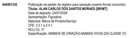 Marca figurativa